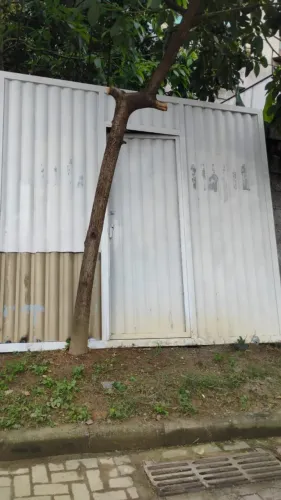 Portão 2,61X2,90