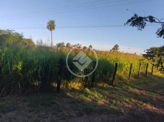 Oportunidade em Várzea Grande: 32ha de Área Formada Vendo Área Total ou Fracionada por He
