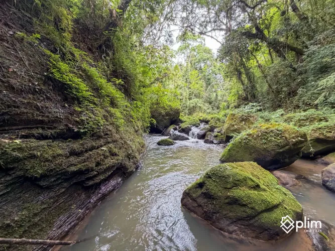 Sítio da vovó de 5,5 hectares à venda em Alfredo Wagner SC com Rio