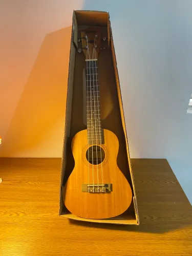 UKULELE ELÉTRICO
