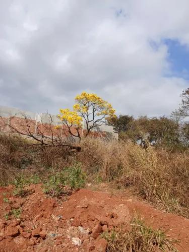 Lote de esquina