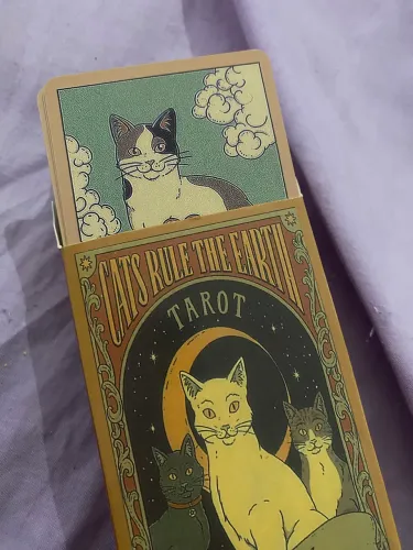 Baralho de Tarot Gatos 78 Cartas