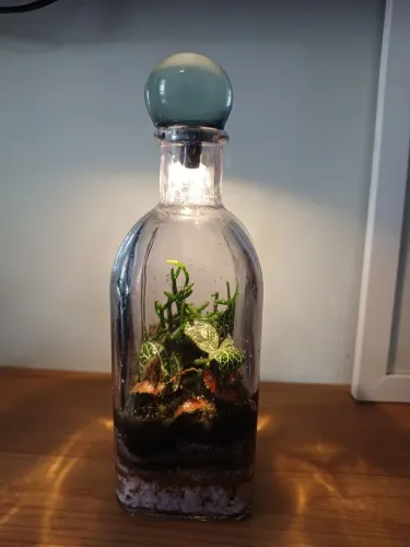 Terrários 