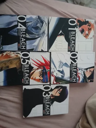 Bleach 1-5