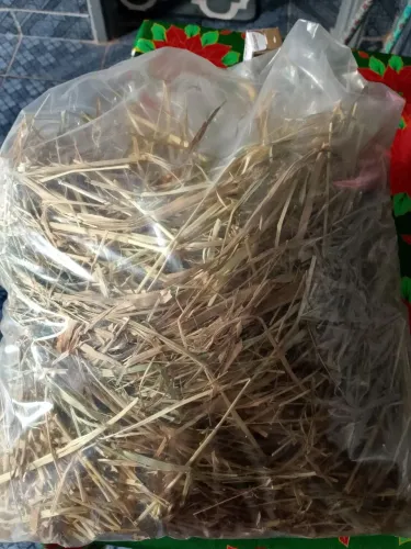 Kit hamster ou porquinho da índia