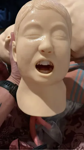 Simulador Infantil Treino Intubação Traqueal Anatomic