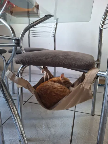 Camas redes de cadeiras para gatos