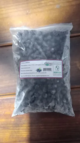 Mirtilo Blueberry Congelado KG direto do produtor 