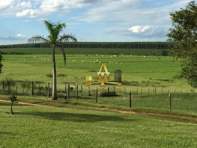 Excelente Fazenda à venda - Zona Rural - Avaí - SP