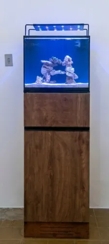 Aquário