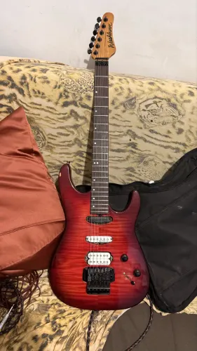Guitarra washburn steve salas signature