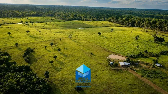 Excelente Fazenda à Venda no Distrito de Nova Califórnia Porto Velho/RO