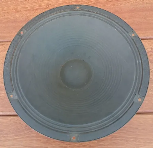 Alto Falante 12" com grade de proteção