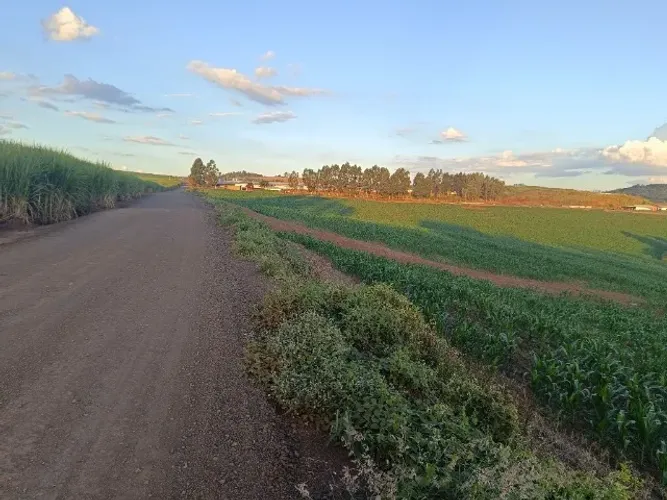 Lote 25,1656 Ha em Mandaguari