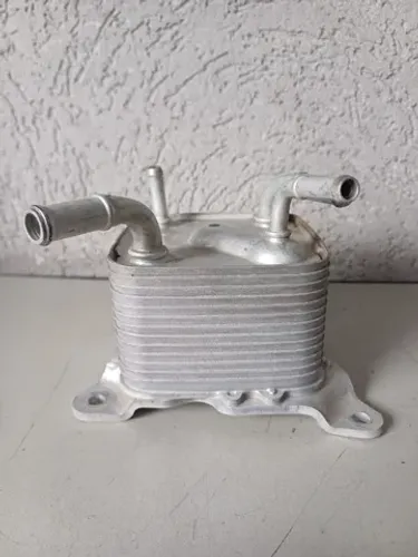 Resfriador Trocador De Calor Nissan Sentra 2.0 2016