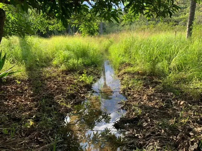 Chácara de 10.000m² com agua e energia elétrica, agua por gravidade, rio nos fundos.
