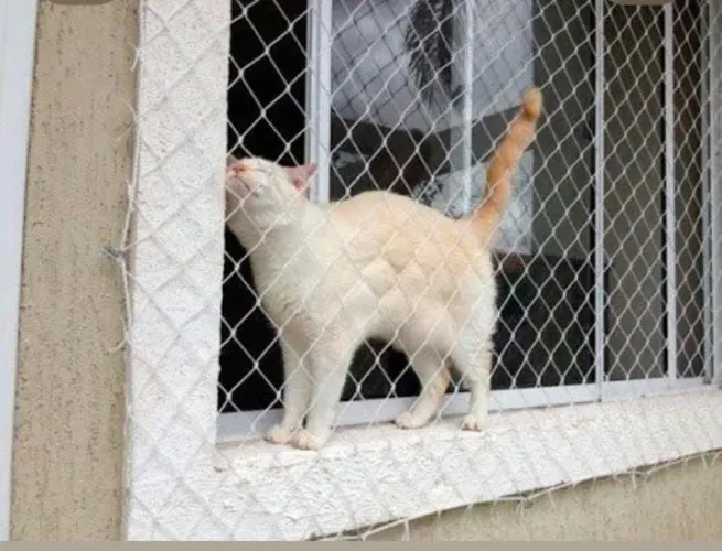 SEGURANÇA REAL PARA SEU PET E SUA FAMÍLIA