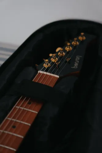 Guitarra Benson Hardy 905