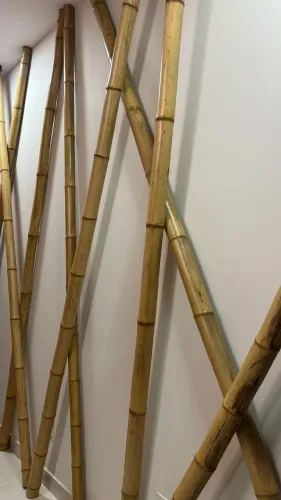 Bambu 3m de comprimento para Decoração