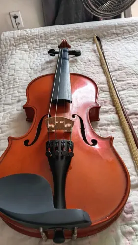 Violino