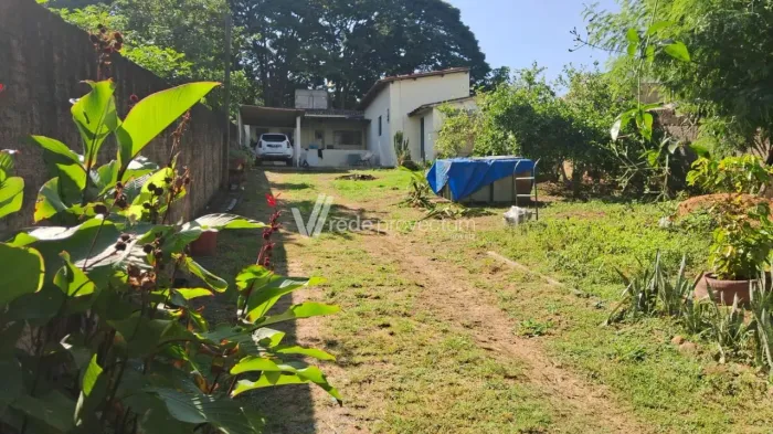 terreno - Vila Mimosa - Campinas