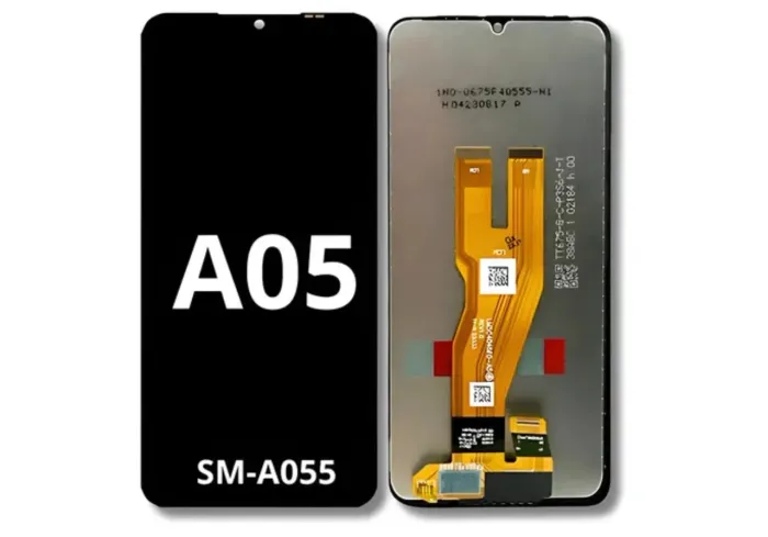 Frontal A05