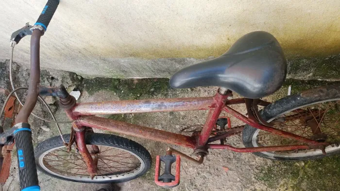 Bicicletas