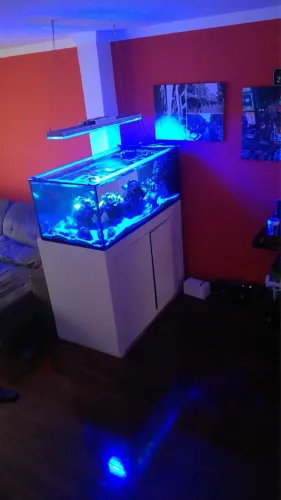 Aquario 450 litros + Sump total 650lts
