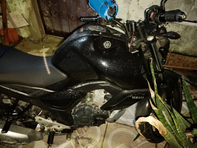 Fz15