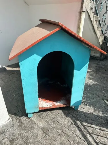 CASINHA DE CACHORRO | Madeira | GRANDE PORTE