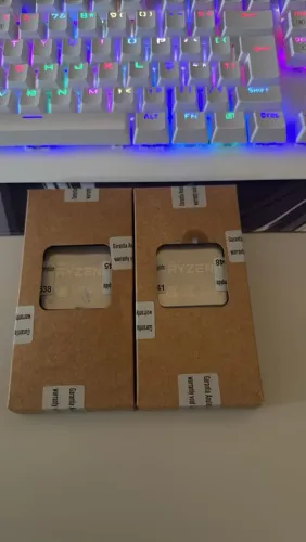 Ryzen 5500