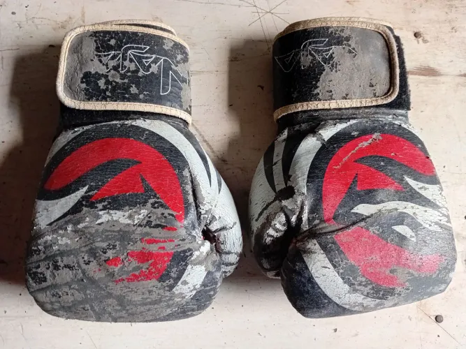 Luvas de boxe apenas 20 reais leio o anúncio 