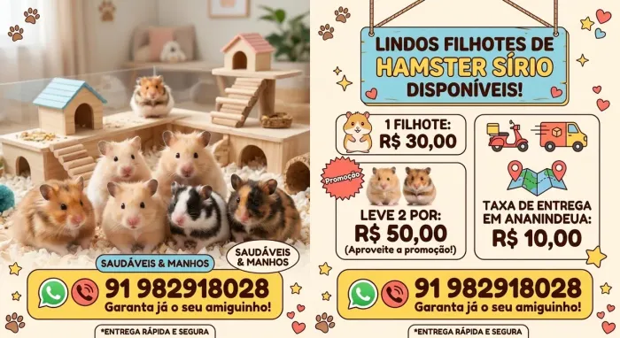 Hamster sírios 