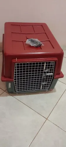 Caixa pra cachorro número 5