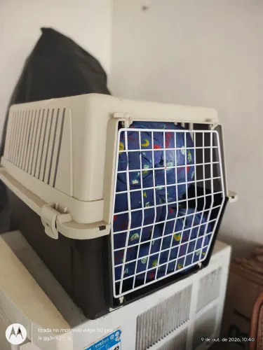 Caixa de transporte de cães 