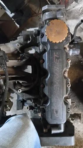 Motor