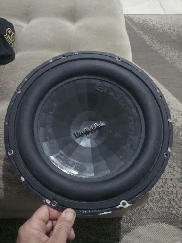 Alto falante de 12 polegadas