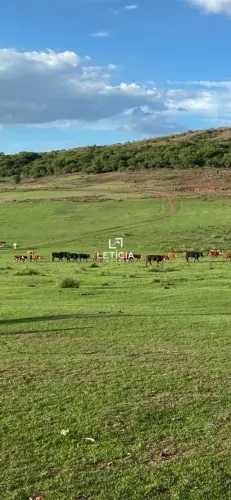 Campo de pecuária!!@