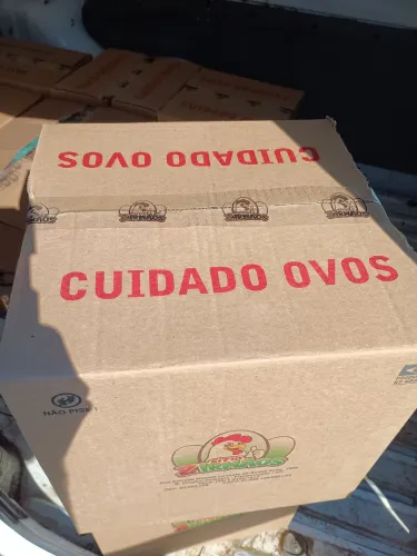 Caixa com 24 bandeijas de 6 ovos caipira