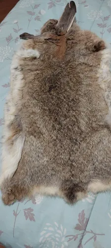 Pele de coelho