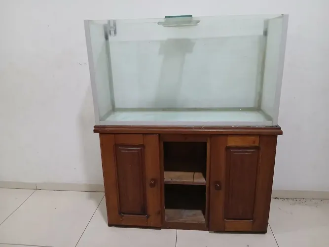 Aquário 