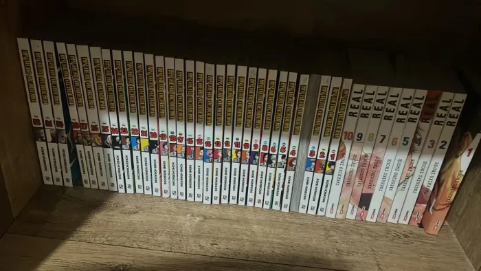Manga My Hero Academia