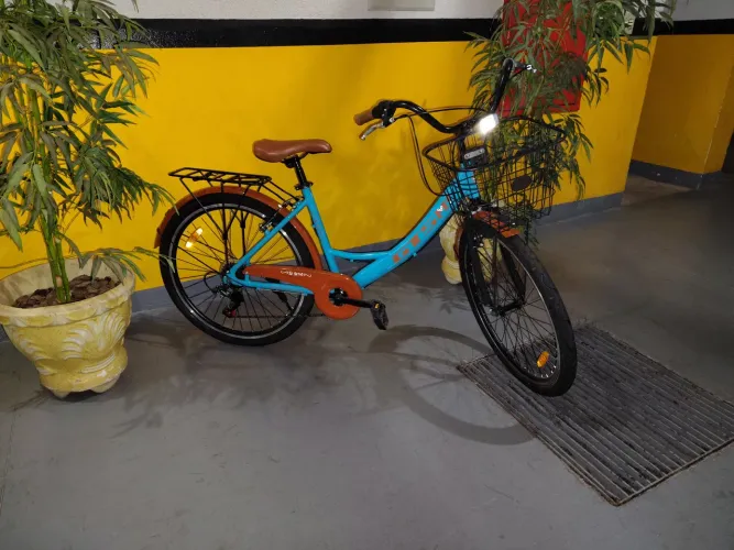 Bicicleta feminina