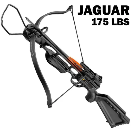 Balestra Jaguar 175lb