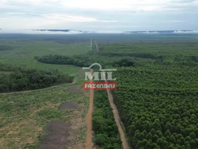 Fazenda 715 alqueires (3.507 hectares) Goiatins - TO