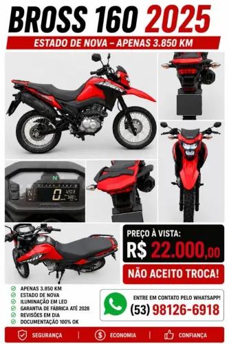 Duas bross inteiras