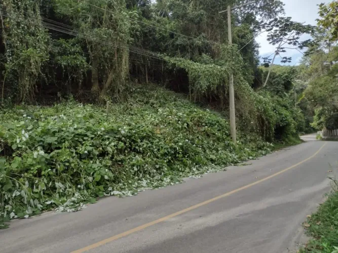 Terreno à venda em Cotia, Jardim Santa Paula, com 2301 m², Condomínio Residencial Santa Pa