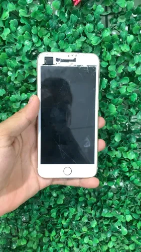 iPhone 8 Plus