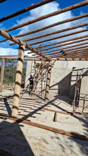 Eucalipto tratado - 8 a 10 (6m)