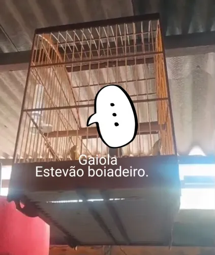 Gaiola 